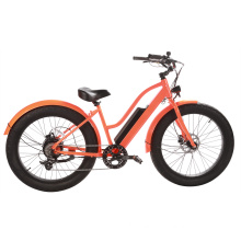 2020 New Model Women Beach Fat Tire Electric Bicycle